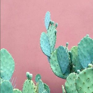 Meet your Posher, Kennedy